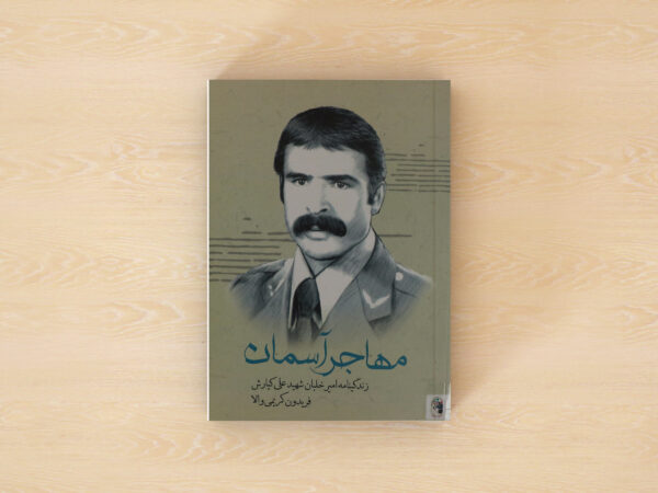 مهاجر آسمان
